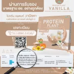 Protein Plant Vanilla Plant Protein 2 Swalla, Swalla, Protein, End of Rice, Course, Sunflower Seed, Gold Potato Potato