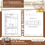 Protein Plant, Plant protein, 2 flavored cocoa, chocolate, protein from rice, peas.
