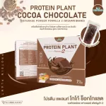 Protein Plant, Plant protein, 2 flavored cocoa, chocolate, protein from rice, peas.