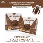 Protein Plant, Plant protein, 2 flavored cocoa, chocolate, protein from rice, peas.