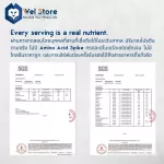 Welstore Oxywhey Whey Whey Protein Concentrate 5ibs Whey protein increases muscle