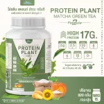 Protein PLANT Plant protein 2 flavors, green tea, matcha, 5 types of plants, Oregine, free, free pearl, 23 pieces, 1 bottle of 920 grams.