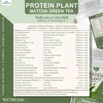 Protein PLANT Plant protein 2 flavors, green tea, matcha, 5 types of plants, Oregine, free, free pearl, 23 pieces, 1 bottle of 920 grams.