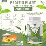 Protein PLANT Plant protein 2 flavors, green tea, matcha, 5 types of plants, Oregine, free, free pearl, 23 pieces, 1 bottle of 920 grams.