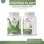 Protein PLANT Plant protein 2 flavors, green tea, matcha, 5 types of plants, Oregine, free, free pearl, 23 pieces, 1 bottle of 920 grams.