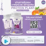 Protein Plant, Plant protein 2, purple, 5 types of plants, Oregine, free, free pearls, 23 pieces, 1 bottle of 920 grams.