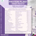 Protein Plant, Plant protein 2, purple, 5 types of plants, Oregine, free, free pearls, 23 pieces, 1 bottle of 920 grams.