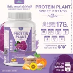 Protein Plant, Plant protein 2, purple, 5 types of plants, Oregine, free, free pearls, 23 pieces, 1 bottle of 920 grams.
