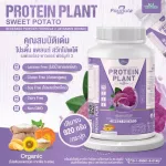 Protein Plant, Plant protein 2, purple, 5 types of plants, Oregine, free, free pearls, 23 pieces, 1 bottle of 920 grams.