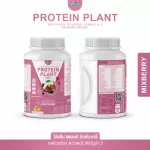 Protein PLANT Plant protein 2, lyrics, 5 protein proteins from 5 orrenic plants, plus free pearls, 23 pieces, 1 bottle of 920 grams.