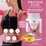 Protein PLANT Plant protein 2, lyrics, 5 protein proteins from 5 orrenic plants, plus free pearls, 23 pieces, 1 bottle of 920 grams.