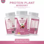Protein PLANT Plant protein 2, lyrics, 5 protein proteins from 5 orrenic plants, plus free pearls, 23 pieces, 1 bottle of 920 grams.
