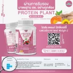 Protein PLANT Plant protein 2, lyrics, 5 protein proteins from 5 orrenic plants, plus free pearls, 23 pieces, 1 bottle of 920 grams.