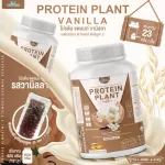 Protein PLANT Plant protein formula 2, swallow, 5 types of plants, Oregine, free pearls, 23 pieces, 1 bottle of 920 grams.