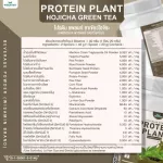 Protein PLANT Plant protein 2 flavors of Hijashi, green tea, 5 types of plants, Oregine, free 1 pearls, 1 pack of 1 bottle of 920 grams.