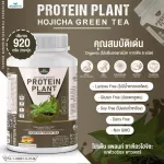 Protein PLANT Plant protein 2 flavors of Hijashi, green tea, 5 types of plants, Oregine, free 1 pearls, 1 pack of 1 bottle of 920 grams.