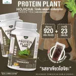 Protein PLANT Plant protein 2 flavors of Hijashi, green tea, 5 types of plants, Oregine, free 1 pearls, 1 pack of 1 bottle of 920 grams.