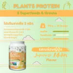 3 vertech nutrition plants Plant Protein Superfoods & Greens, Vigan, vegetables, fruits, fiber, weight loss