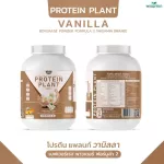 Protein PLANT Plant protein formula 2 Swalla, 5 proteins from 5 types of plants, free 56 pearls, 1 bottle of 2.27 kg.