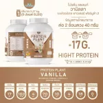 Protein PLANT Plant protein formula 2 Swalla, 5 proteins from 5 types of plants, free 56 pearls, 1 bottle of 2.27 kg.
