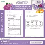 Protein Plant, Plant protein 2, purple, 5 types of plants, Oregine, free 56, 1 bottle of pearls, 1 bottle of 2.27 kg.