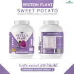 Protein Plant, Plant protein 2, purple, 5 types of plants, Oregine, free 56, 1 bottle of pearls, 1 bottle of 2.27 kg.