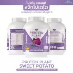 Protein Plant, Plant protein 2, purple, 5 types of plants, Oregine, free 56, 1 bottle of pearls, 1 bottle of 2.27 kg.
