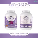 Protein Plant, Plant protein 2, purple, 5 types of plants, Oregine, free 56, 1 bottle of pearls, 1 bottle of 2.27 kg.