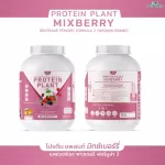 Protein PLANT Plant protein 2, lyrics, 5 protein proteins from 5 orchards, free 56 packs, 1 bottle of 2.27 kg.