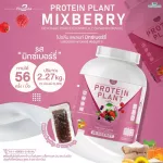Protein PLANT Plant protein 2, lyrics, 5 protein proteins from 5 orchards, free 56 packs, 1 bottle of 2.27 kg.