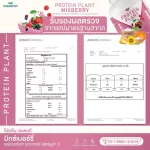 Protein PLANT Plant protein 2, lyrics, 5 protein proteins from 5 orchards, free 56 packs, 1 bottle of 2.27 kg.