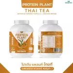 Protein PLANT Plant protein 2 flavors of Thai tea, 5 types of plants, Oregine, free 56 pearls, 1 bottle of 2.27 kg.