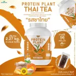 Protein PLANT Plant protein 2 flavors of Thai tea, 5 types of plants, Oregine, free 56 pearls, 1 bottle of 2.27 kg.