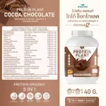 Protein PLANT Plant protein 2 flavors, cocoa flavors, chocolate, 5 plant protein, Oregine, free 56 pearls, 1 bottle of 2.27 kg.