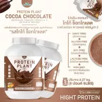 Protein PLANT Plant protein 2 flavors, cocoa flavors, chocolate, 5 plant protein, Oregine, free 56 pearls, 1 bottle of 2.27 kg.