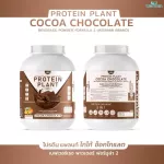Protein PLANT Plant protein 2 flavors, cocoa flavors, chocolate, 5 plant protein, Oregine, free 56 pearls, 1 bottle of 2.27 kg.