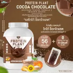 Protein PLANT Plant protein 2 flavors, cocoa flavors, chocolate, 5 plant protein, Oregine, free 56 pearls, 1 bottle of 2.27 kg.