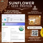 Sunflower Seed Protein, 100% protein powder from sunflower seeds, 1,000 grams/bag 1 kg.