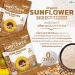 Sunflower Seed Protein, 100% protein powder from sunflower seeds, 1,000 grams/bag 1 kg.