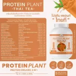 Protein PLANT Plant protein formula 1 flavor, Thai tea, protein from 3 types of plants, Orange, peas, 1 bottle of potatoes, 2.27 kg.