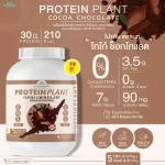 Protein PLANT Plant protein formula 1 flavor, cocoa, chocolate, protein from 3 plants, Orange, peas, 1 bottle of potatoes, 2.27 kg.