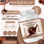Protein PLANT Plant protein formula 1 flavor, cocoa, chocolate, protein from 3 plants, Orange, peas, 1 bottle of potatoes, 2.27 kg.