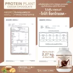 Protein PLANT Plant protein formula 1 flavor, cocoa, chocolate, protein from 3 plants, Orange, peas, 1 bottle of potatoes, 2.27 kg.