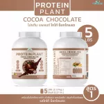 Protein PLANT Plant protein formula 1 flavor, cocoa, chocolate, protein from 3 plants, Orange, peas, 1 bottle of potatoes, 2.27 kg.