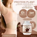 Protein PLANT Plant protein formula 1 flavor, cocoa, chocolate, protein from 3 plants, Orange, peas, 1 bottle of potatoes, 2.27 kg.