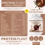 Protein PLANT Plant protein formula 1 flavor, cocoa, chocolate, protein from 3 plants, Orange, peas, 1 bottle of potatoes, 2.27 kg.