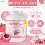 Protein PLANT Plant protein formula 1, lychee flavor, cherry, protein from 3 types of plants, Orange, peas and potatoes, 1 bottle of 2.27 kg.