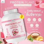 Protein PLANT Plant protein formula 1, lychee flavor, cherry, protein from 3 types of plants, Orange, peas and potatoes, 1 bottle of 2.27 kg.