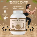 Protein PLANT Plant protein 1 flavor, Taiwan tea, 3 plant protein, Orerie, peas and potatoes, 1 bottle of 2.27 kg.