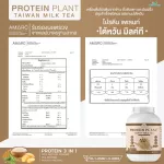 Protein PLANT Plant protein 1 flavor, Taiwan tea, 3 plant protein, Orerie, peas and potatoes, 1 bottle of 2.27 kg.